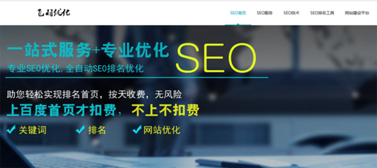 飛羽SEO 專業(yè)的計(jì)算機(jī)軟件咨詢服務(wù)