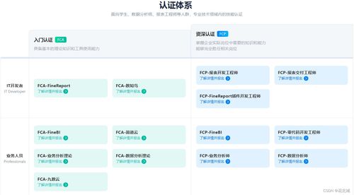 計(jì)算機(jī)軟件證書與專業(yè)咨詢 提升技能與職業(yè)發(fā)展的關(guān)鍵